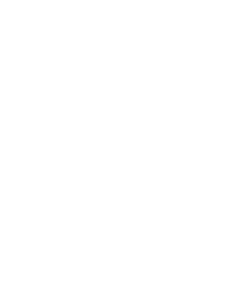 Prime Focus StudiosLogo